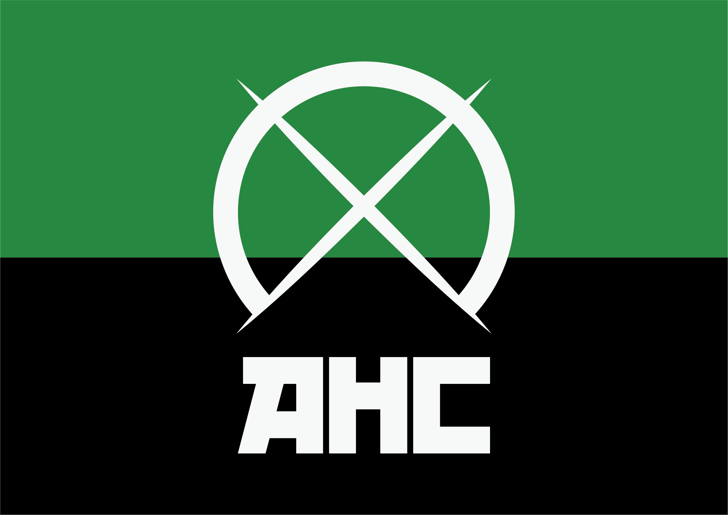 АНС флаг